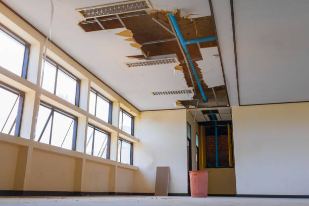 Best Water damage cleanup near me  in Canton Valley, CT