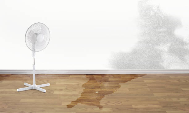 Best 24/7 water damage repair  in Canton Valley, CT