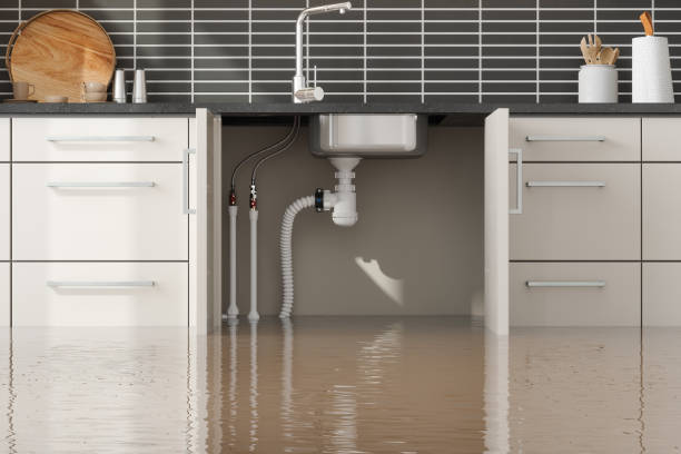 Reliable CT Water damage restoration Solutions